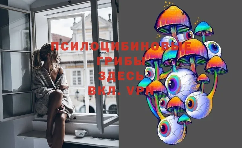 Галлюциногенные грибы MAGIC MUSHROOMS  Катайск 